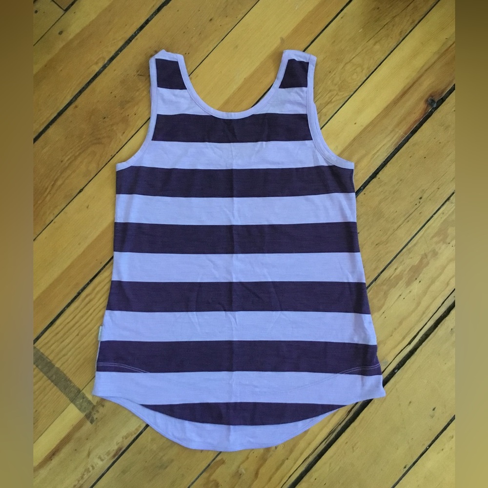 Icebreaker Lavender and Dark Purple Striped Tank Top